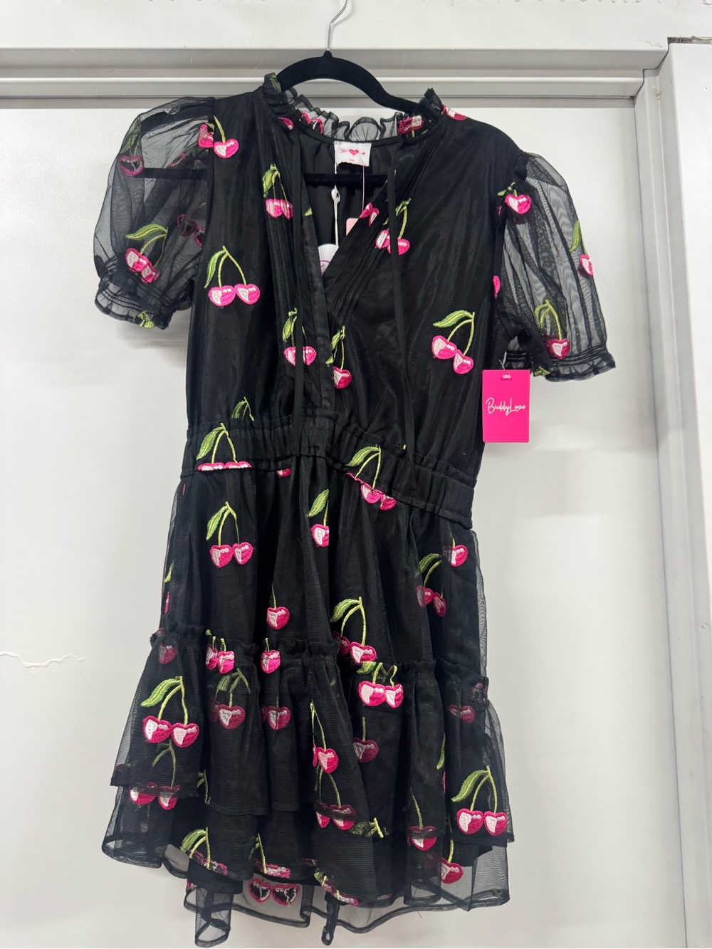 Buddy Love Black Mesh Dress with Pink Cherry Embroidery
